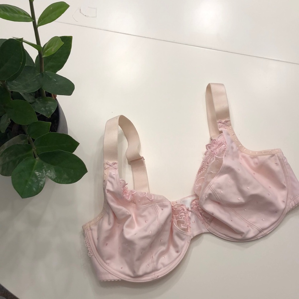 Pink Bra from Anita 34F
